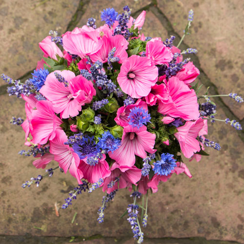Brautstrauß aus ungespritzten Bio-Blumen Malven, Lavendel, Kornblumen - nachhaltige Hochzeitsfloristik Brautstrauß aus ungespritzten Bio-Blumen Malven, Lavendel, Kornblumen - nachhaltige Hochzeitsfloristik
