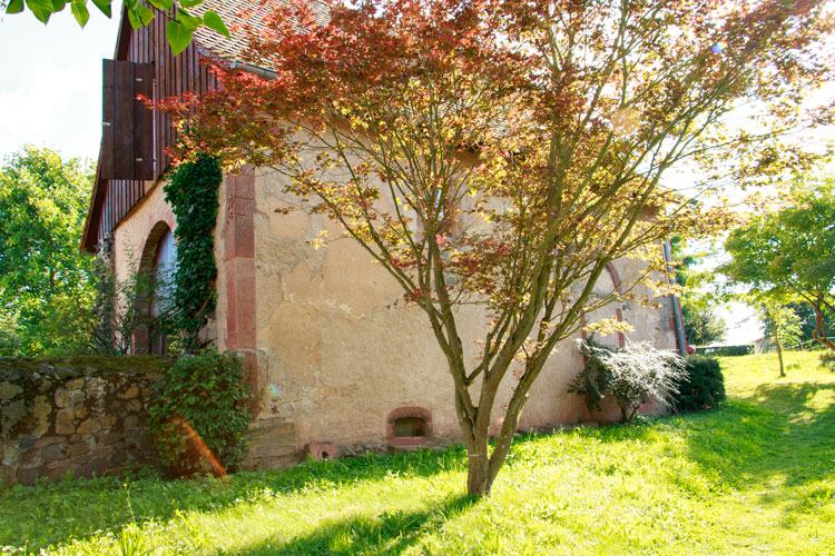 Heiraten in der Hirzbacher Kapelle in Hammersbach - nachhaltige Hochzeitsfloristik mit Viktoriana Blumen Heiraten in der Hirzbacher Kapelle in Hammersbach - nachhaltige Hochzeitsfloristik mit Viktoriana Blumen