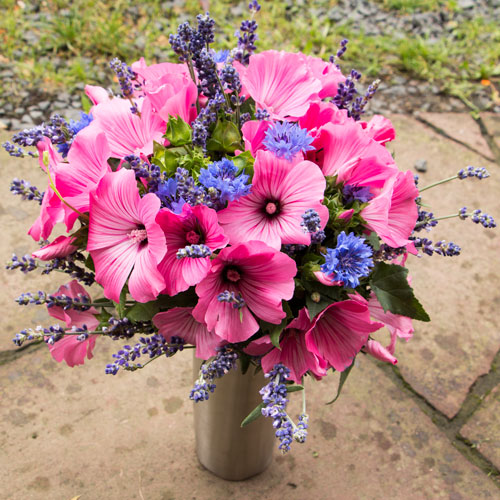 Brautstrauß aus ungespritzten Bio-Blumen Malven, Lavendel, Kornblumen - nachhaltige Hochzeitsfloristik