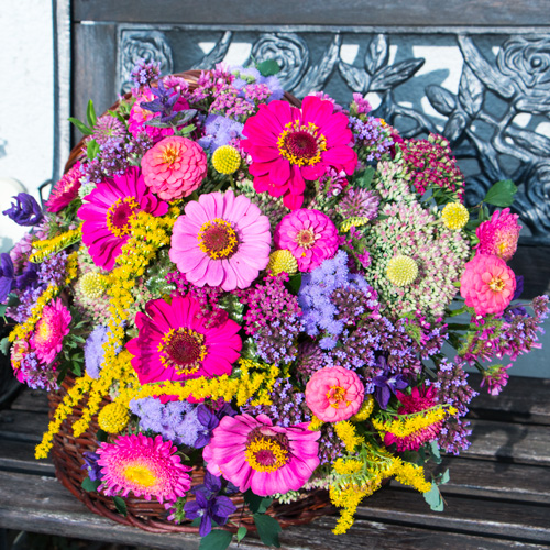 Bio-Blumenstrauss bestellen kaufen versenden. Ungespritzte Blumen für Frankfurt, Bad Homburg, Wetteraukreis