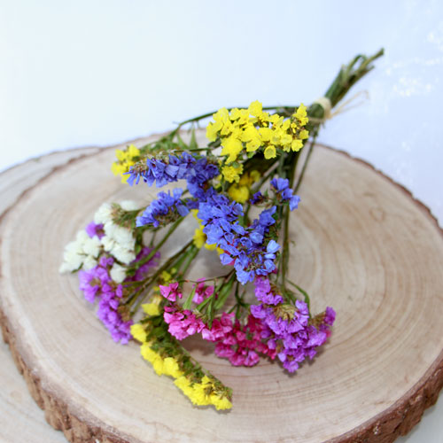 Strandflieder/ Limonium einzelne Blütenrispen für Tortendekoration aus ungespritzten Bio-Trockenblumen